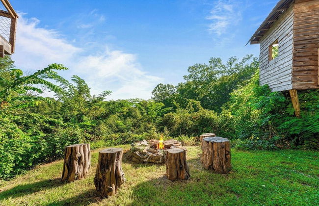 Branson's Crystal Cabin - Foto 37