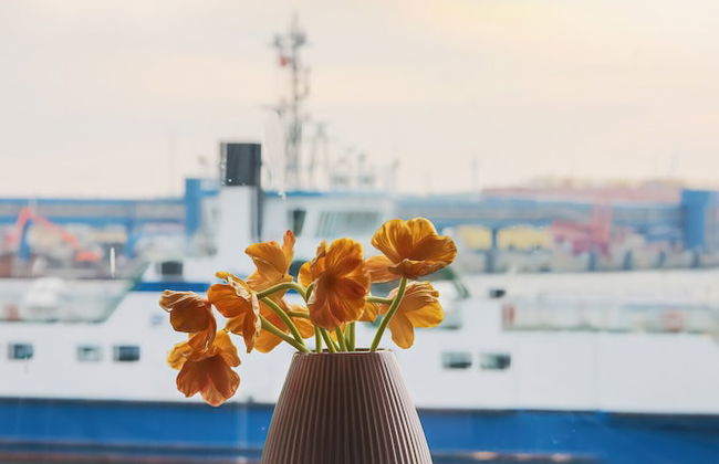 Nowa Flotylla Widok na Rzekę by Renters - Foto 10