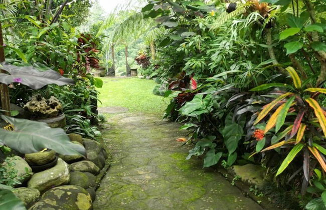 Yas Rumah Kita - Foto 10
