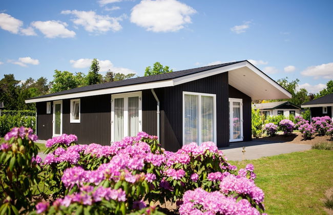 Chalet in Netherlands by Scenic Pond - Foto 1