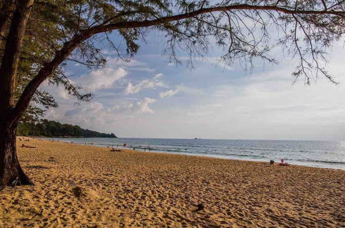 Photo 51 - Beachfront 3br Luxe, Plunge Pool On Naithon Beach