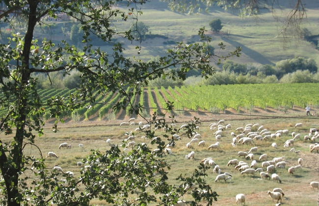 Belvilla by OYO Lovely Estate in the Sabina Hills - Foto 30