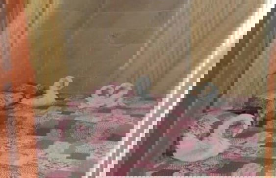 Casa Varsovia 1 - Modern, Independent & Oceanview - Foto 17