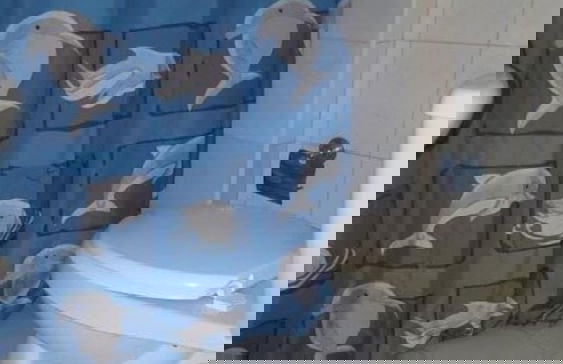 Casa Varsovia 1 - Modern, Independent & Oceanview - Foto 30