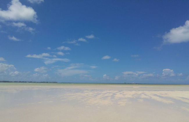 Private Beachfront Home - Foto 50