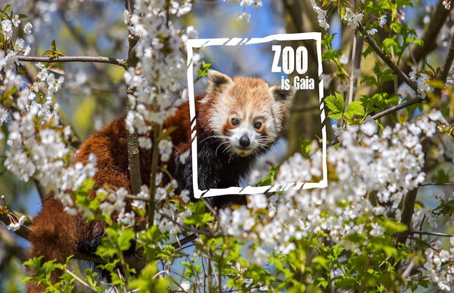 Bungalow in Landgraaf With Terrace - Foto 24