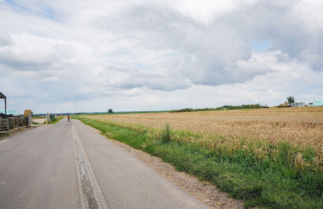Bungalow in Landgraaf With Terrace - Foto 43
