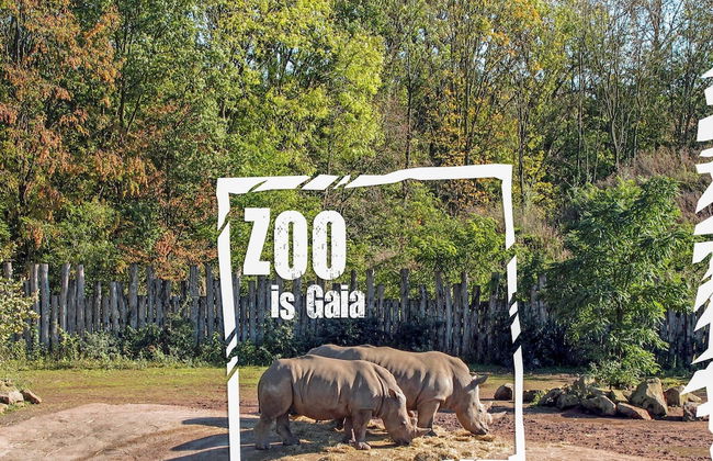 Bungalow in Landgraaf With Terrace - Foto 46