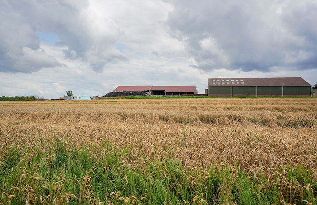 Bungalow in Landgraaf With Terrace - Foto 42
