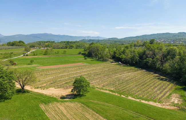 Tourist Farm Valic - Apartment and Winery - Foto 13