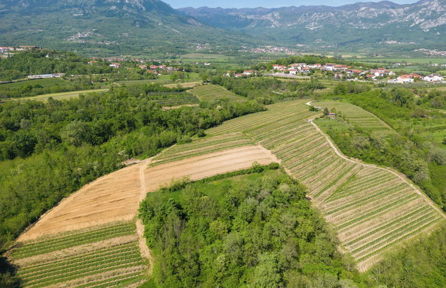 Tourist Farm Valic - Apartment and Winery - Foto 34