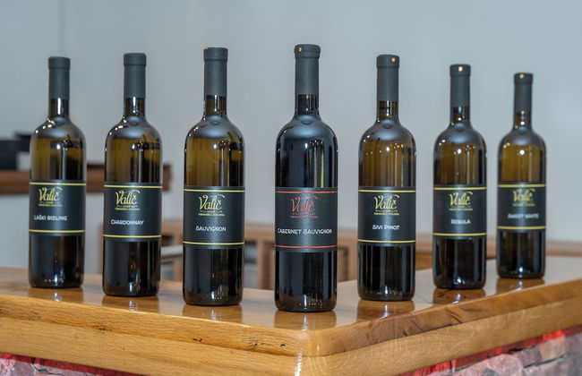Tourist Farm Valic - Apartment and Winery - Foto 20
