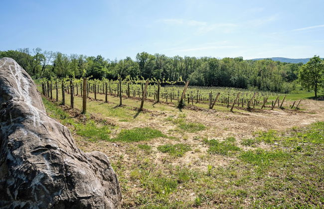Tourist Farm Valic - Apartment and Winery - Foto 32