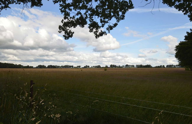 Holiday Home in Lemele Near Nature Reserve - Photo 30