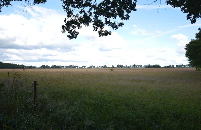Holiday Home in Lemele Near Nature Reserve - Photo 31