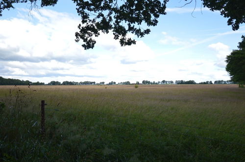 Photo 30 - Cosy Holiday Home With Terrace Near Natural Park in Lemele