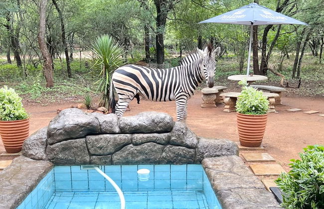 Kruger Kumba - Mugwenzi - Foto 37