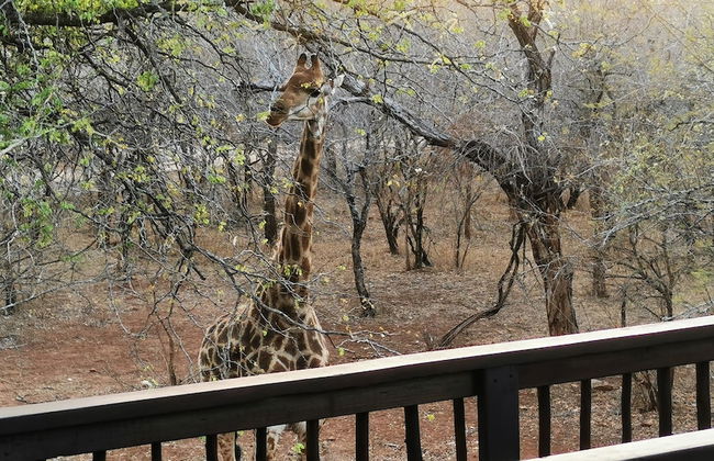 Kruger Kumba - Mugwenzi - Foto 53
