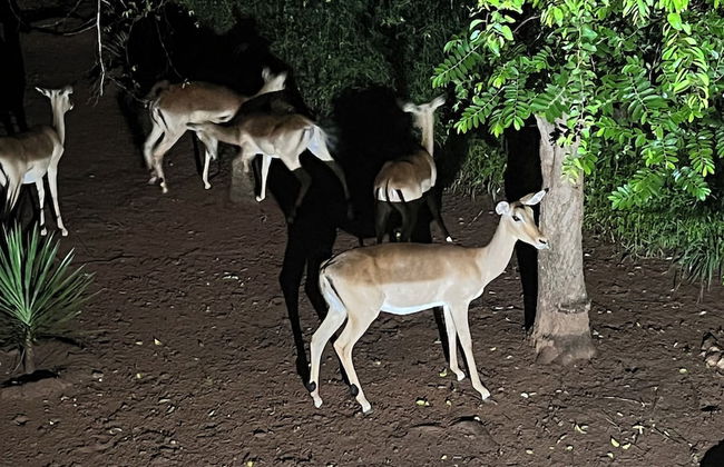 Kruger Kumba - Mugwenzi - Foto 56