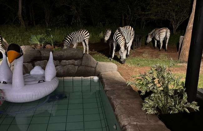 Kruger Kumba - Mugwenzi - Foto 46