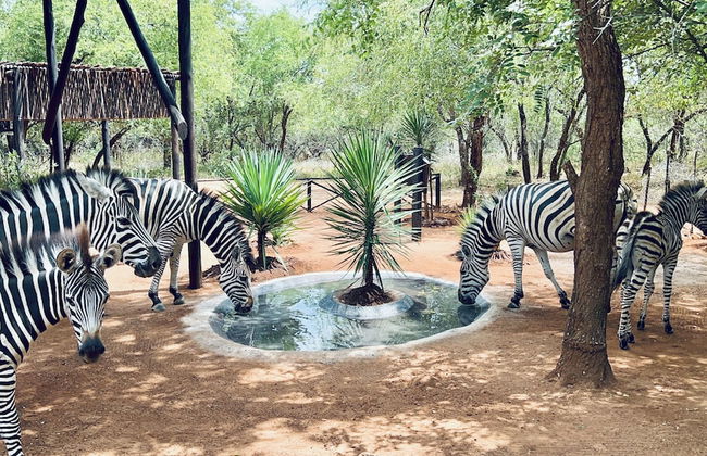 Kruger Kumba - Mugwenzi - Foto 42