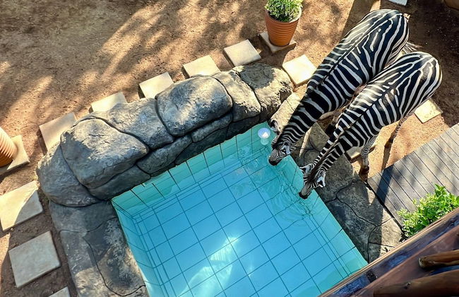 Kruger Kumba - Mugwenzi - Foto 45
