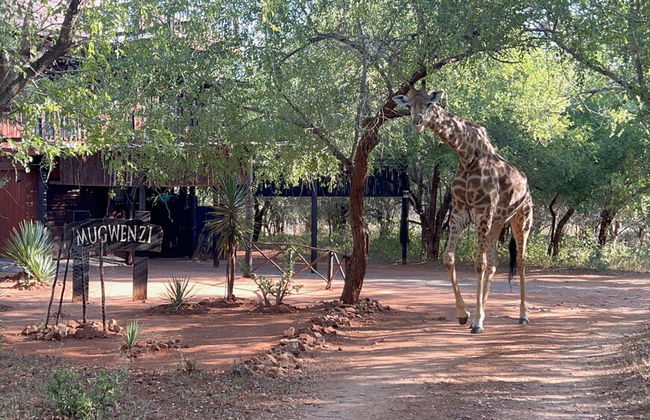 Kruger Kumba - Mugwenzi - Foto 52