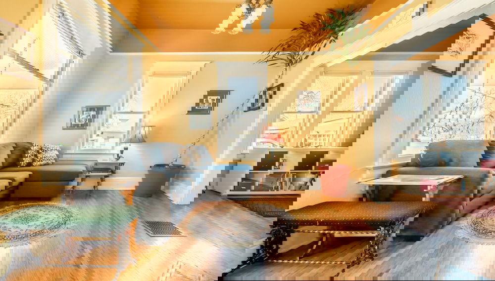 Imagem principal