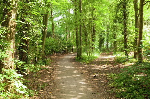 Photo 24 - In the Middle of the Gooise Landscape, Directly on the Fields