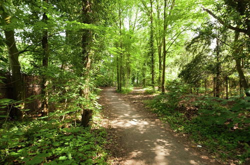 Photo 16 - In the Middle of the Gooise Landscape, Directly on the Fields