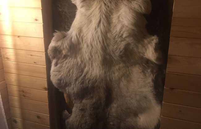 Bear Corner Lodge - Foto 5