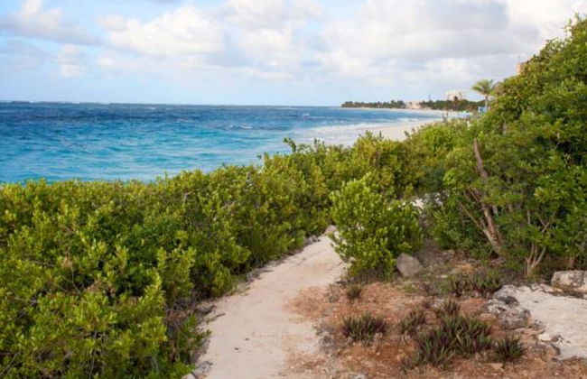 Fountain Anguilla - Foto 65