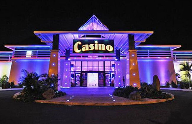 Kaz ananas passion - Foto 32