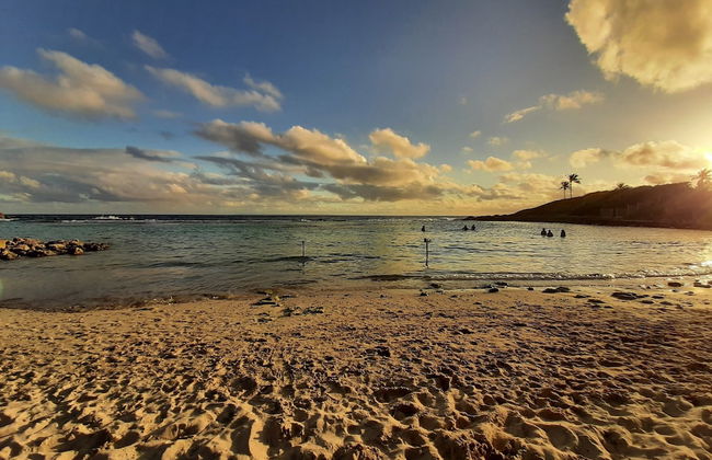 Kaz ananas passion - Foto 41