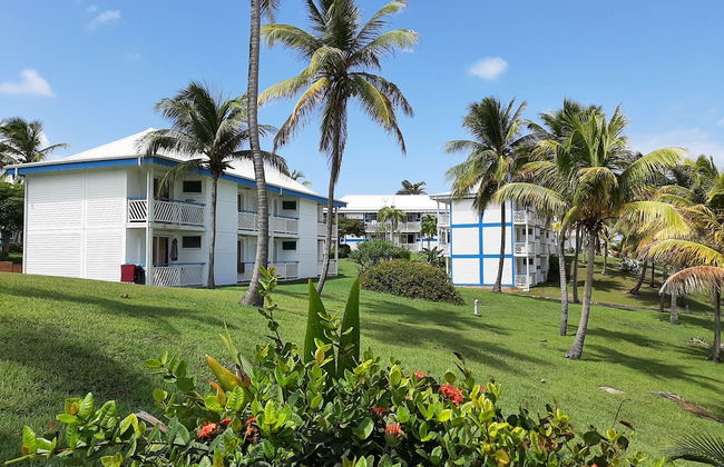 Kaz ananas passion - Foto 39