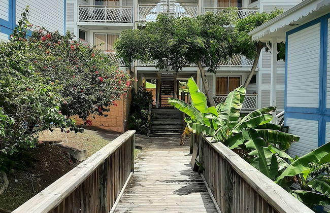 Kaz ananas passion - Foto 40