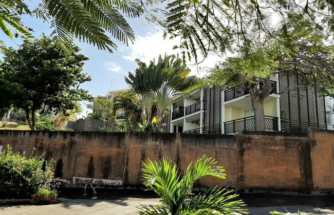 Kaz ananas passion - Foto 37