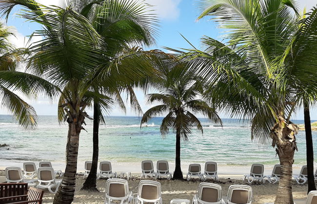 Kaz ananas passion - Foto 35