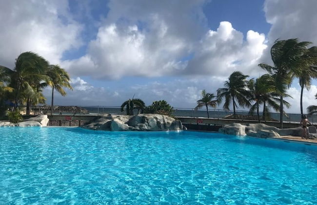 Kaz ananas passion - Foto 1