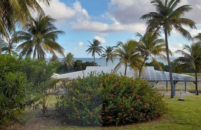 Kaz ananas passion - Foto 25