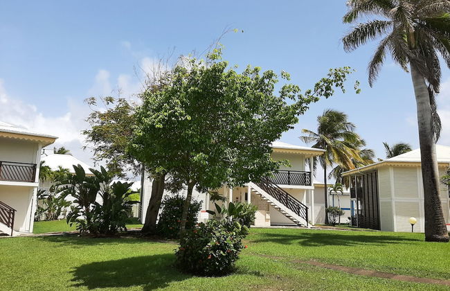 Kaz ananas passion - Foto 38