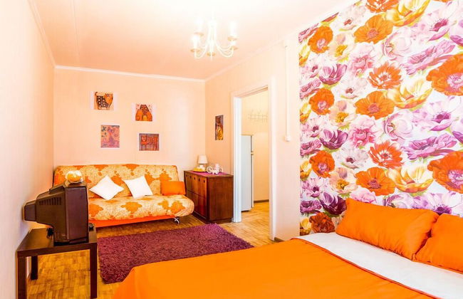 Apartment on Nizhegorodskaya 65 - Photo 1