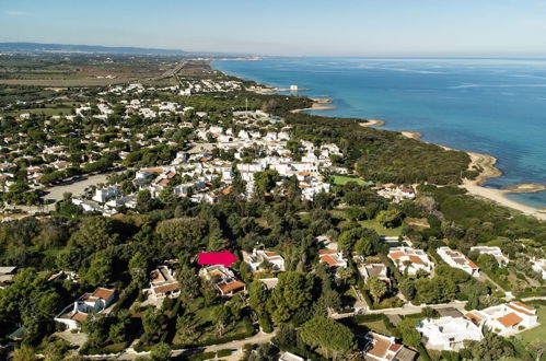 Photo 45 - Villa Massimo a Rosa Marina