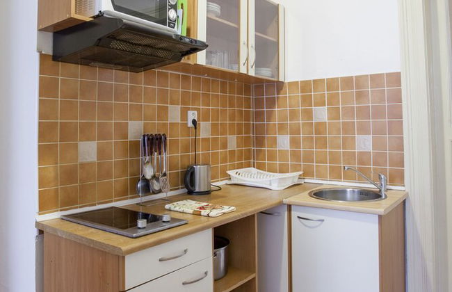 Downtown Apartments Prague - Foto 41