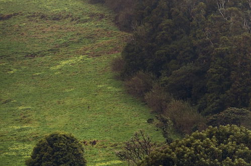 Foto 21 - Liiiving in Açores-Mountain Island House