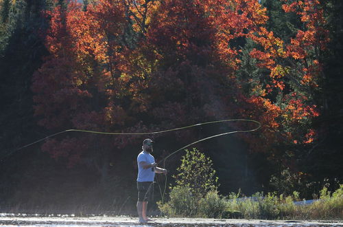 Photo 68 - Adirondack Lake Cabins