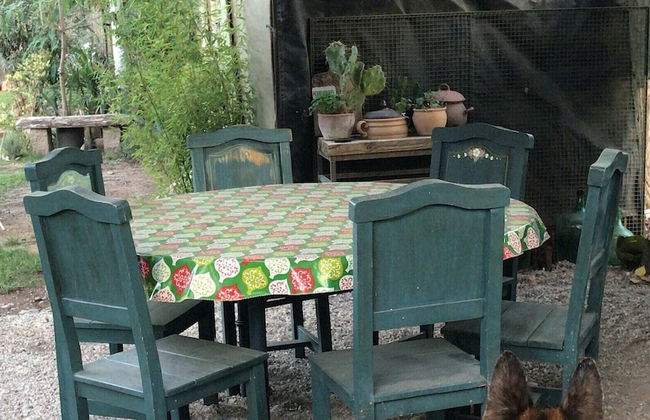 Dark Green House - Chacras de Coria - Foto 42