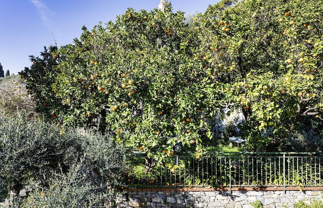 Seaview Apartment With Garden in Recco by Wonderful Italy - Foto 27