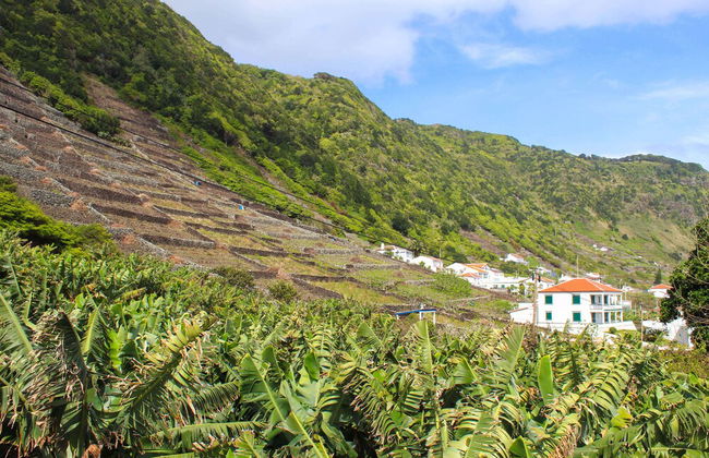 Casa dos Magalhães - Photo 35