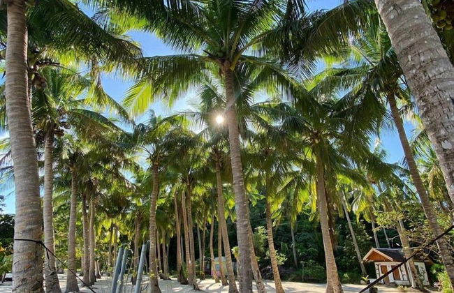 Borawan Island Resort - Foto 35